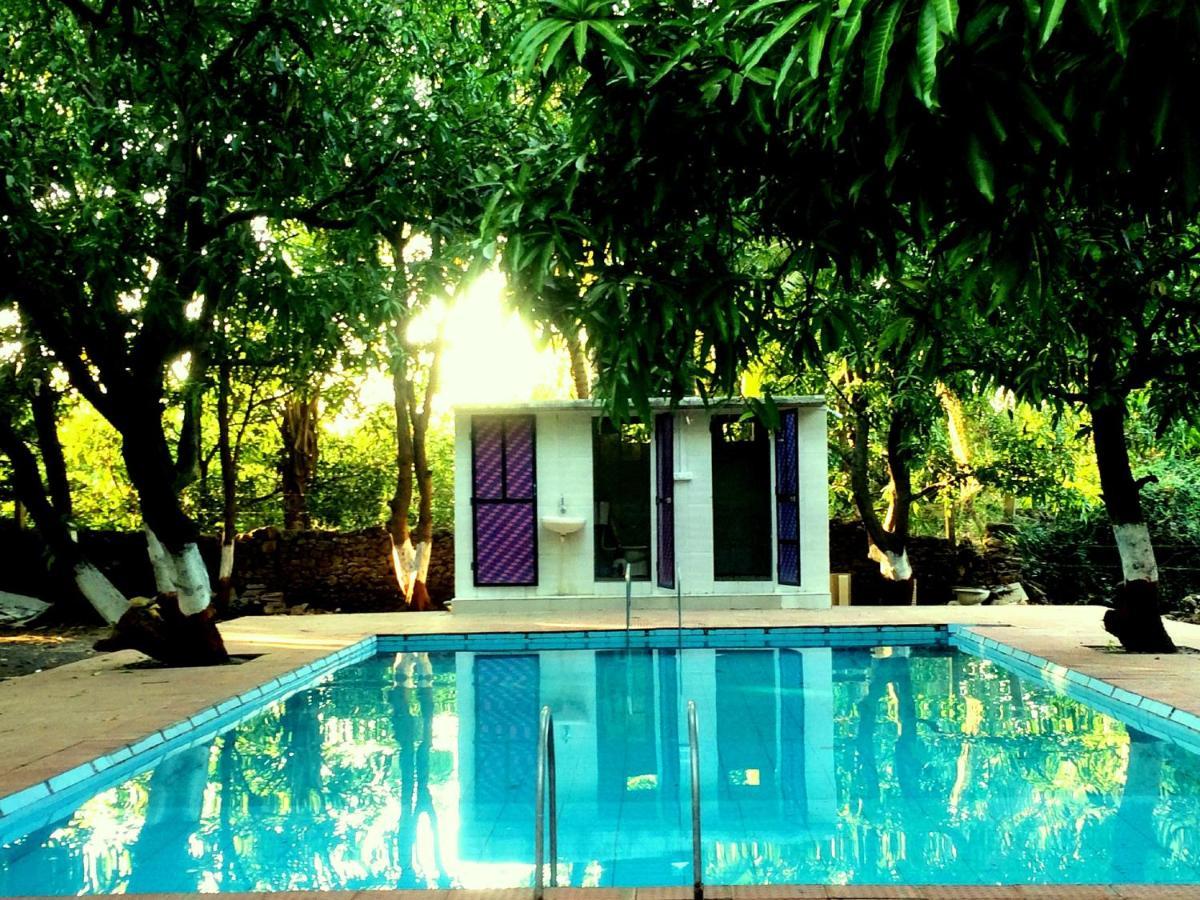 The Wilds Villa Gir Jungle Stay With Swimming Pool Sasan Gir Eksteriør bilde