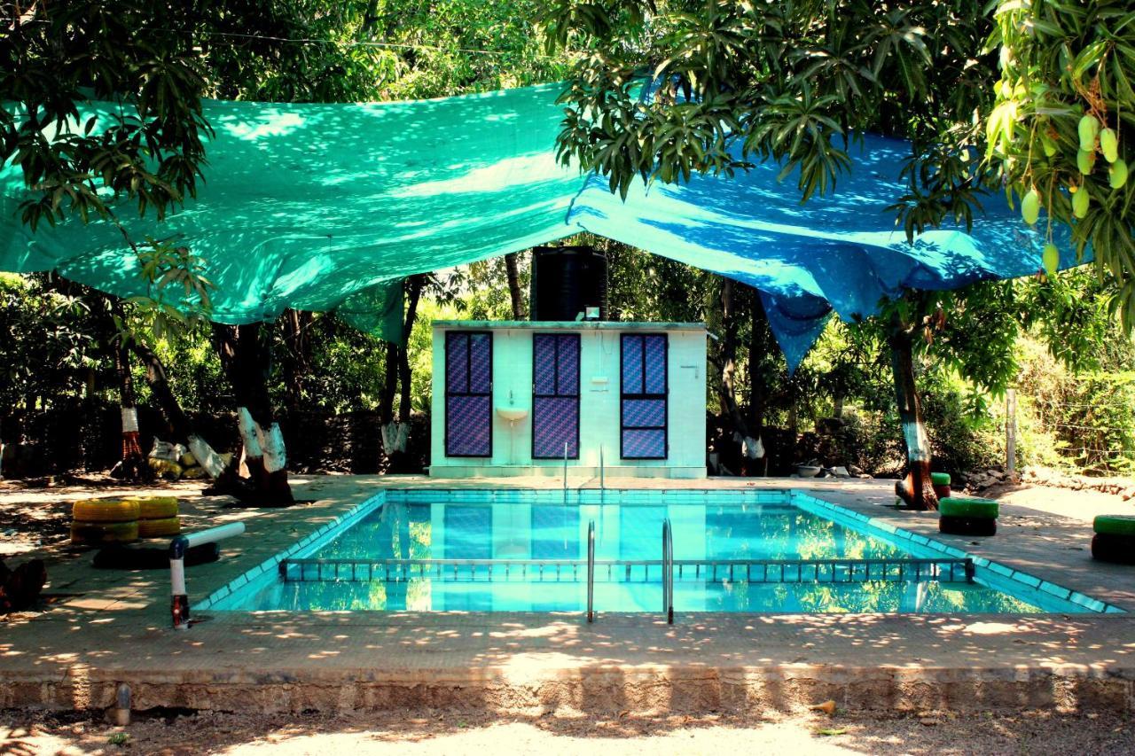 The Wilds Villa Gir Jungle Stay With Swimming Pool Sasan Gir Eksteriør bilde