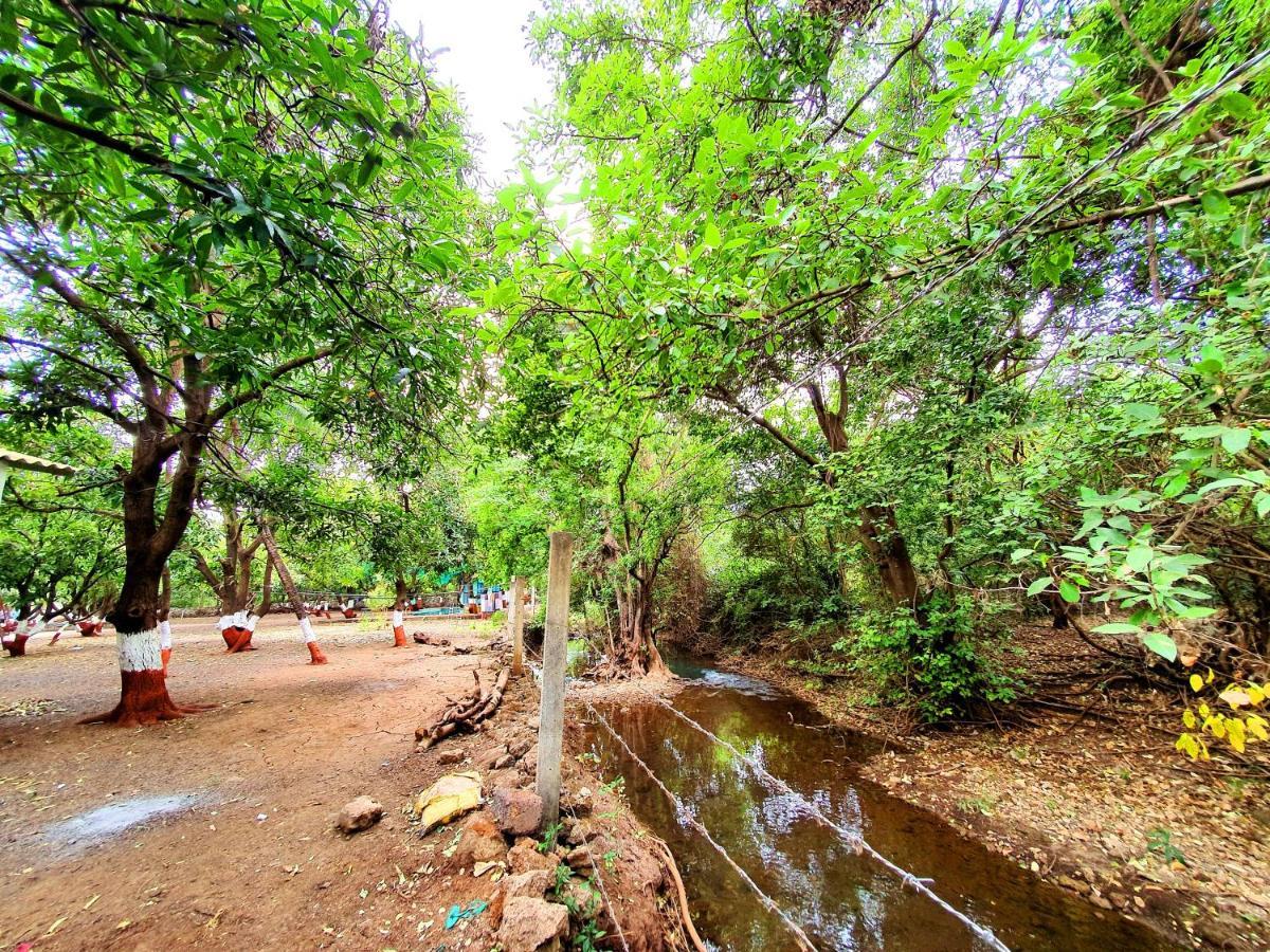 The Wilds Villa Gir Jungle Stay With Swimming Pool Sasan Gir Eksteriør bilde