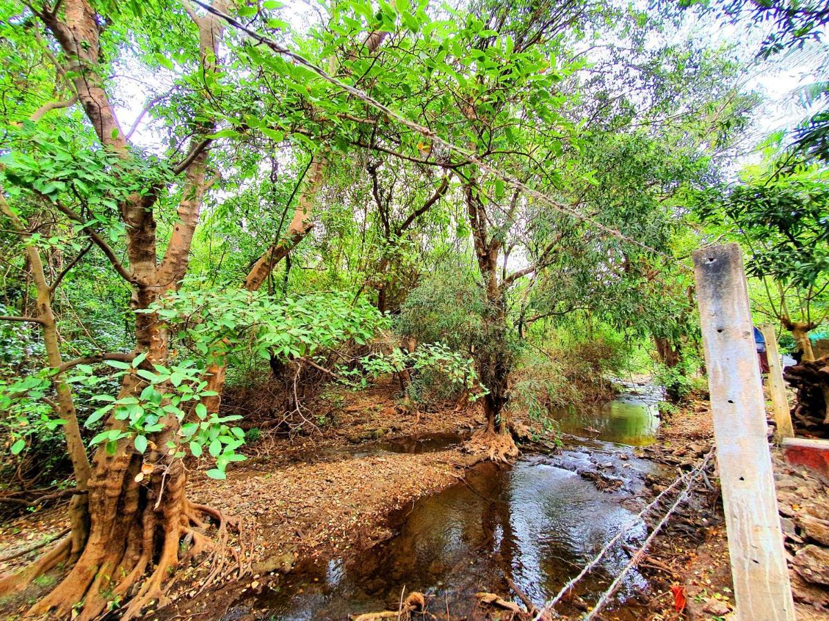 The Wilds Villa Gir Jungle Stay With Swimming Pool Sasan Gir Eksteriør bilde