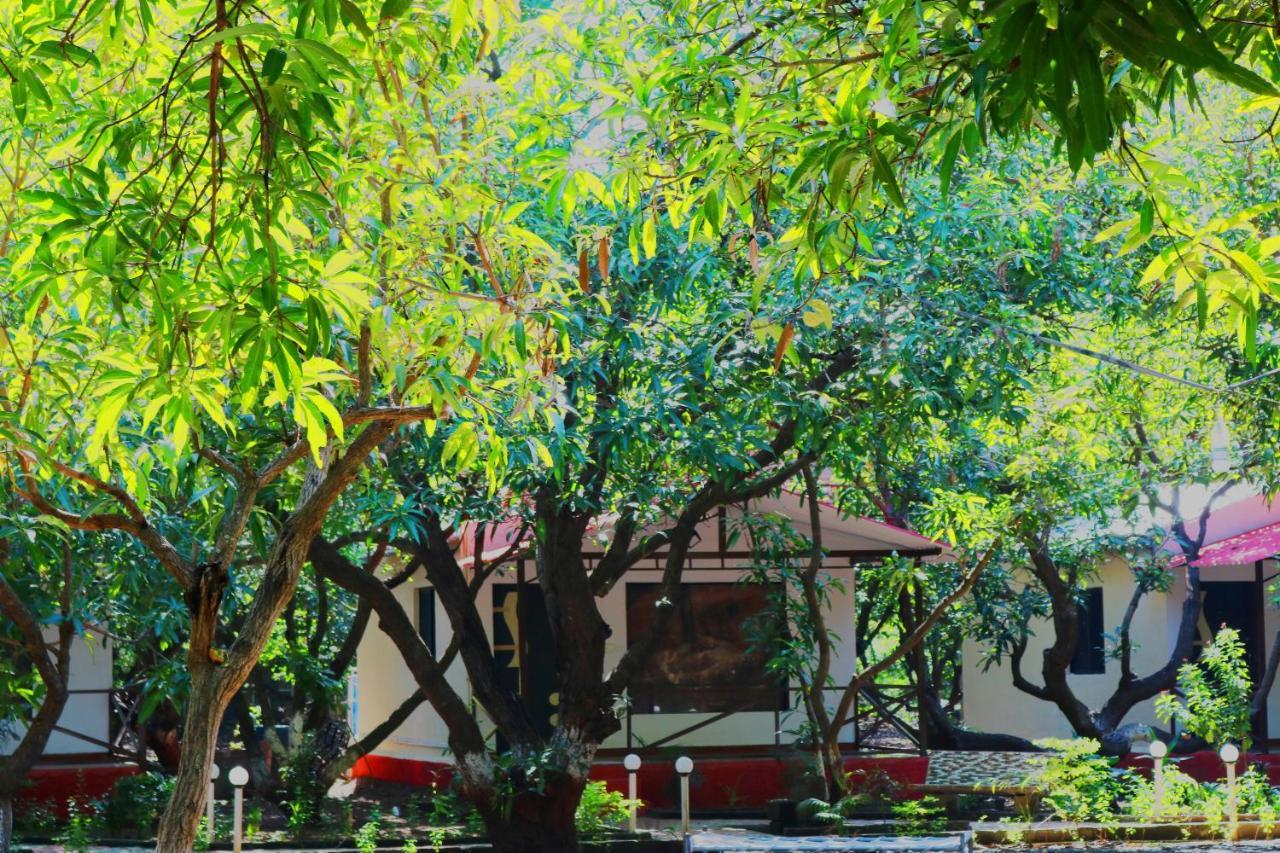 The Wilds Villa Gir Jungle Stay With Swimming Pool Sasan Gir Eksteriør bilde